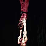 Apex Acrobatics - Symmetry - Hand to Hand