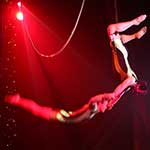 Hard Shoulder - Extreme Trapeze - Swing