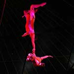 Hard Shoulder - Extreme Trapeze - Side Planche