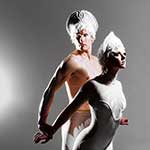 Suspension of Disbelief - Silver Trapeze - Standing