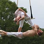 Suspension of Disbelief - Silver Trapeze - Layout